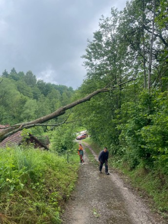 Messenger_creation_6732BC1D-E197-4D89-B8B5-8D5E6BA63E7A_result