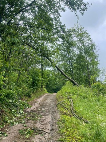 Messenger_creation_A210D9B5-1688-45AA-8CFB-BA2F2651197C_result