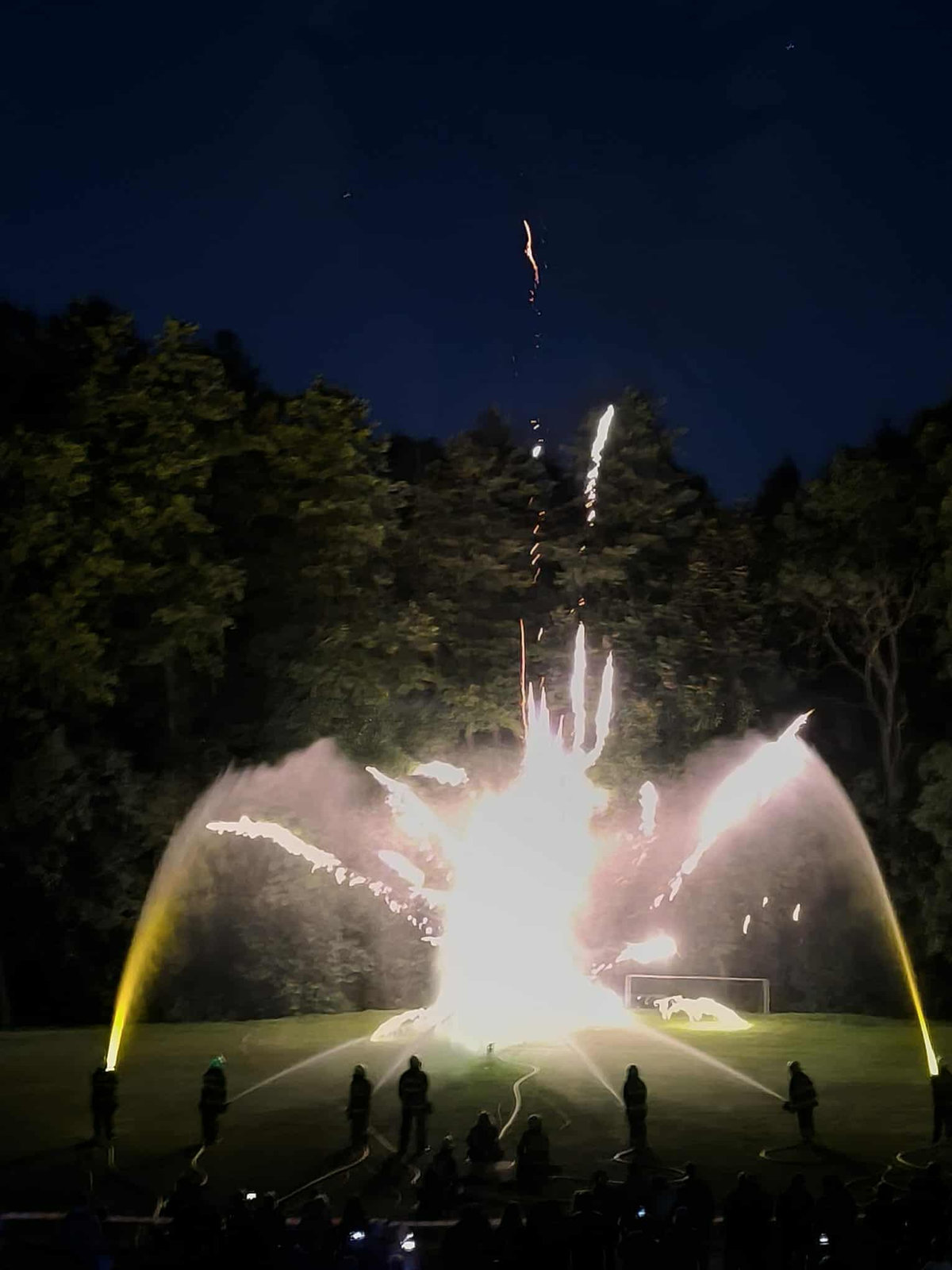 received_1315728523417918_result